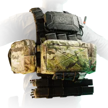 Spiritus Systems LV-119 Plate Carrier (Black Division V2)