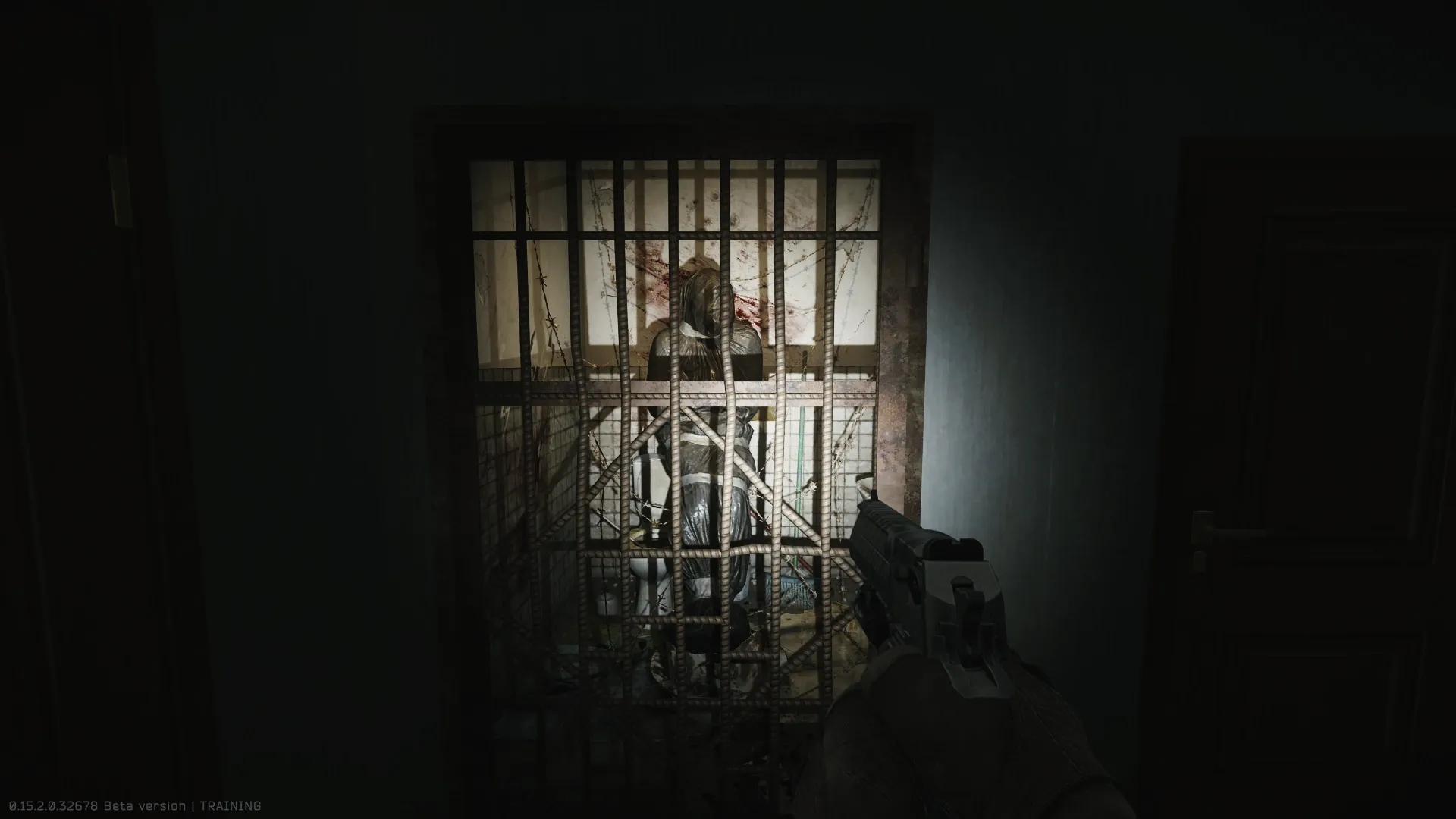 The barbed wire body