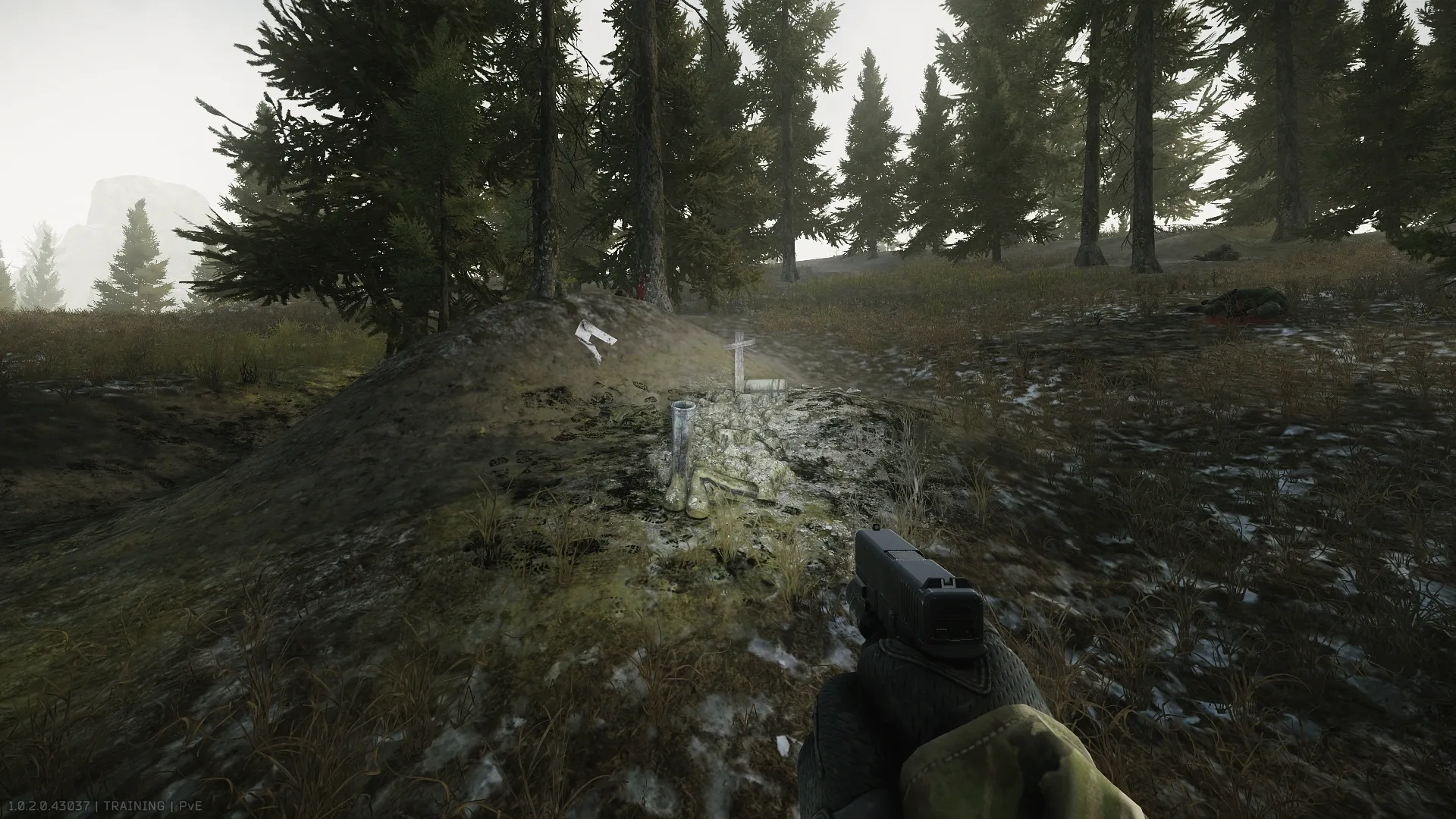 The grave