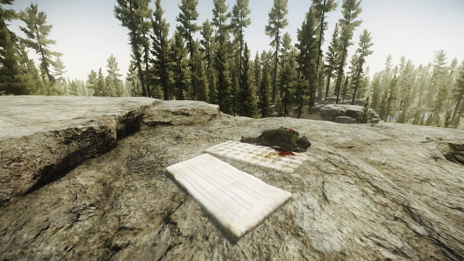 Mattresses on top of the big rock at the USEC camp on woods — 1