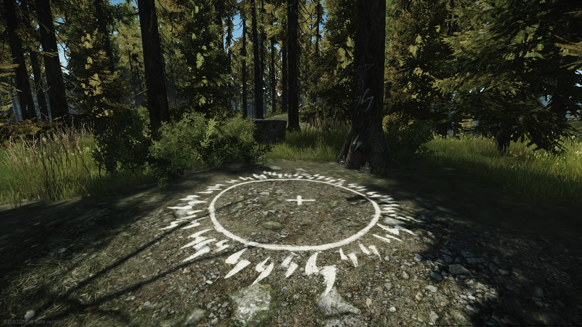 The marked circle