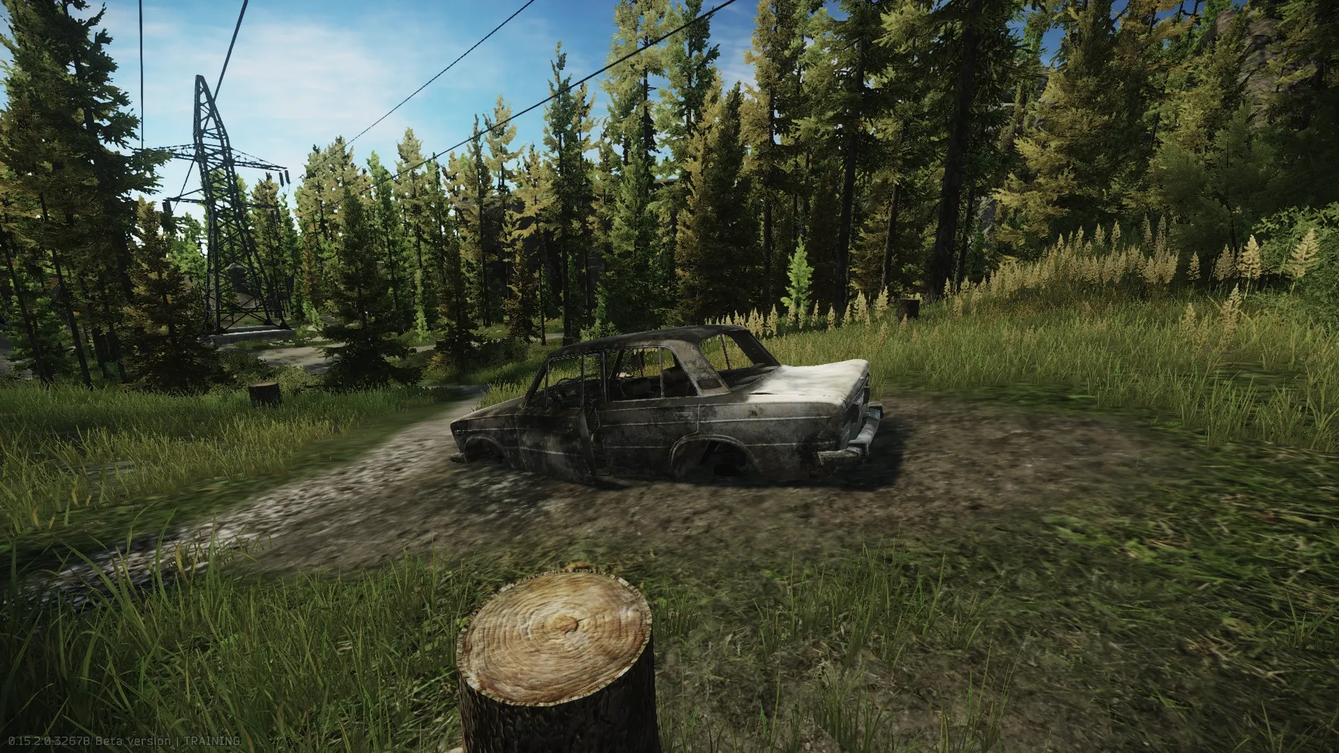 Install a WI-FI Camera at the bear who sat into a flaming car on Woods — 1