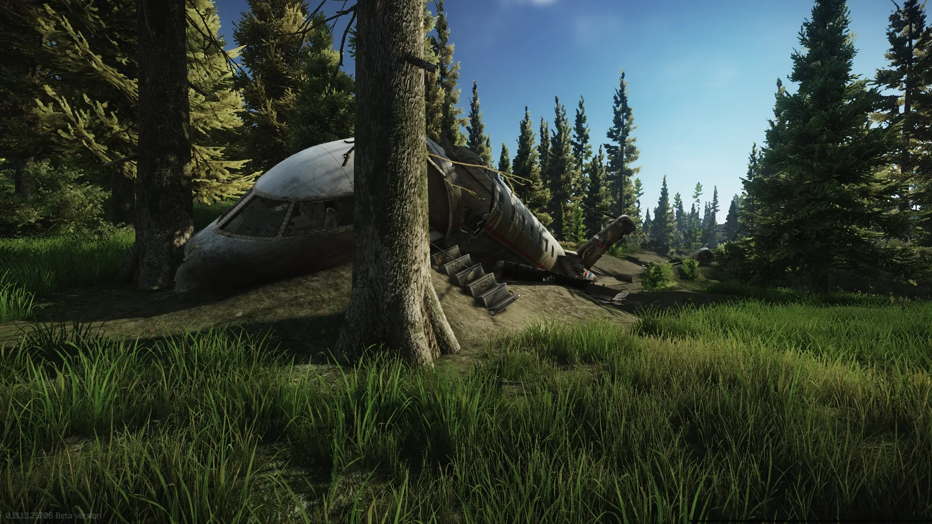 Locate the crashed plane on Woods — 1
