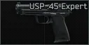 USP .45 Expert