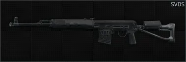 SVDS Default