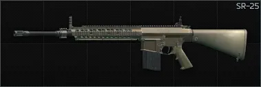SR-25 SR25_TAU_STD