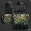 Spiritus Systems LV-119 Plate Carrier (Black Division V2)