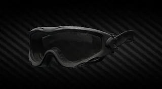 Wiley X SPEAR ballistic goggles (Black)