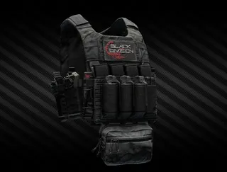 Spiritus Systems LV-119 Plate Carrier (MultiCam Black)