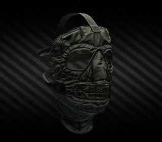 Extreme cold weather face mask