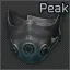 Work Peak training mask