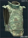 6B13 assault armor (Flora)