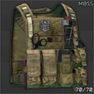 Eagle Allied Industries MBSS plate carrier