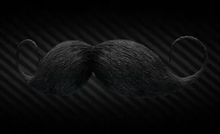 Hussar mustache