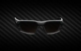 Revision ShadowStrike tactical glasses (Gray)