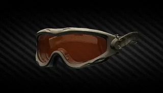 Wiley X SPEAR ballistic goggles (Tan)