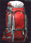 Santa's bag