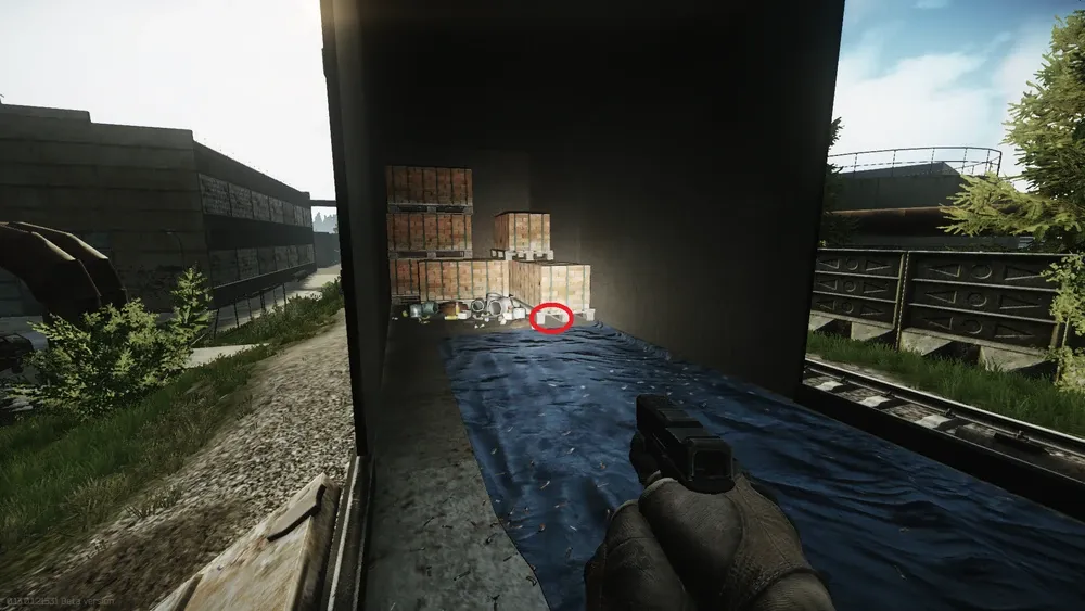 First spawn