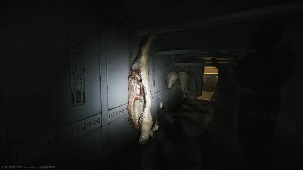 First spawn in the pig carcass opposite the first corpse