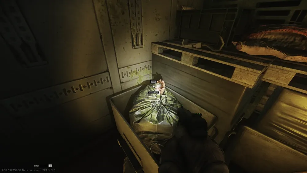 Second spawn in the back of the trailer in the trash bag