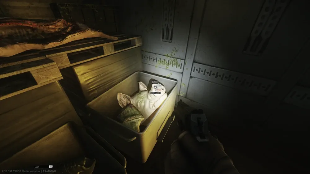 Third spawn in the back of the trailer in the snout of the pig head