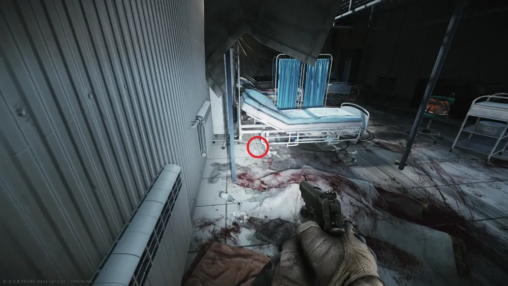 First spawn