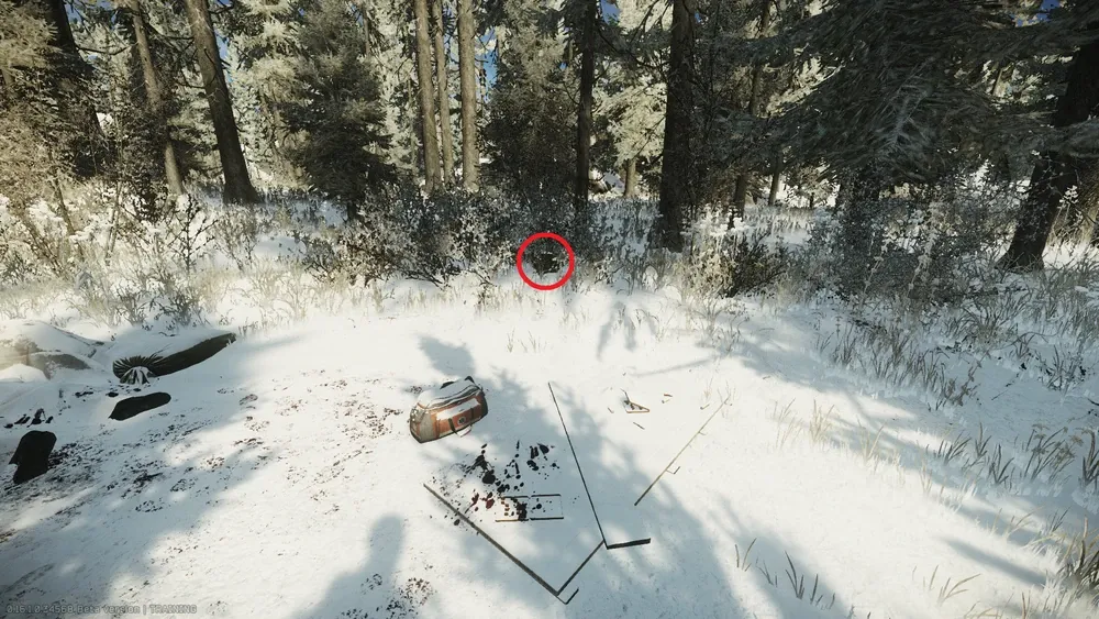 Spawn 4 in the bushes towards the lake