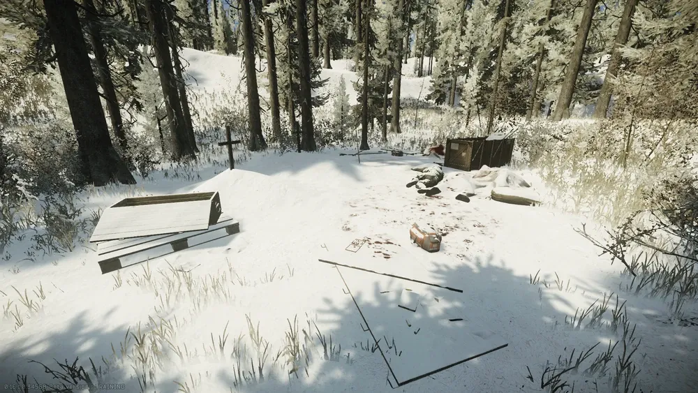 Stash the device at the specified location on Woods — 1